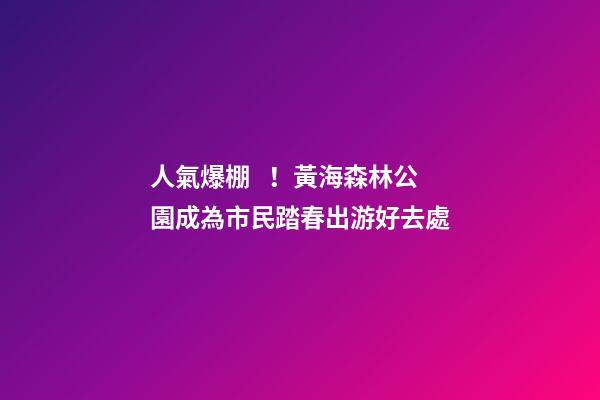 人氣爆棚！黃海森林公園成為市民踏春出游好去處